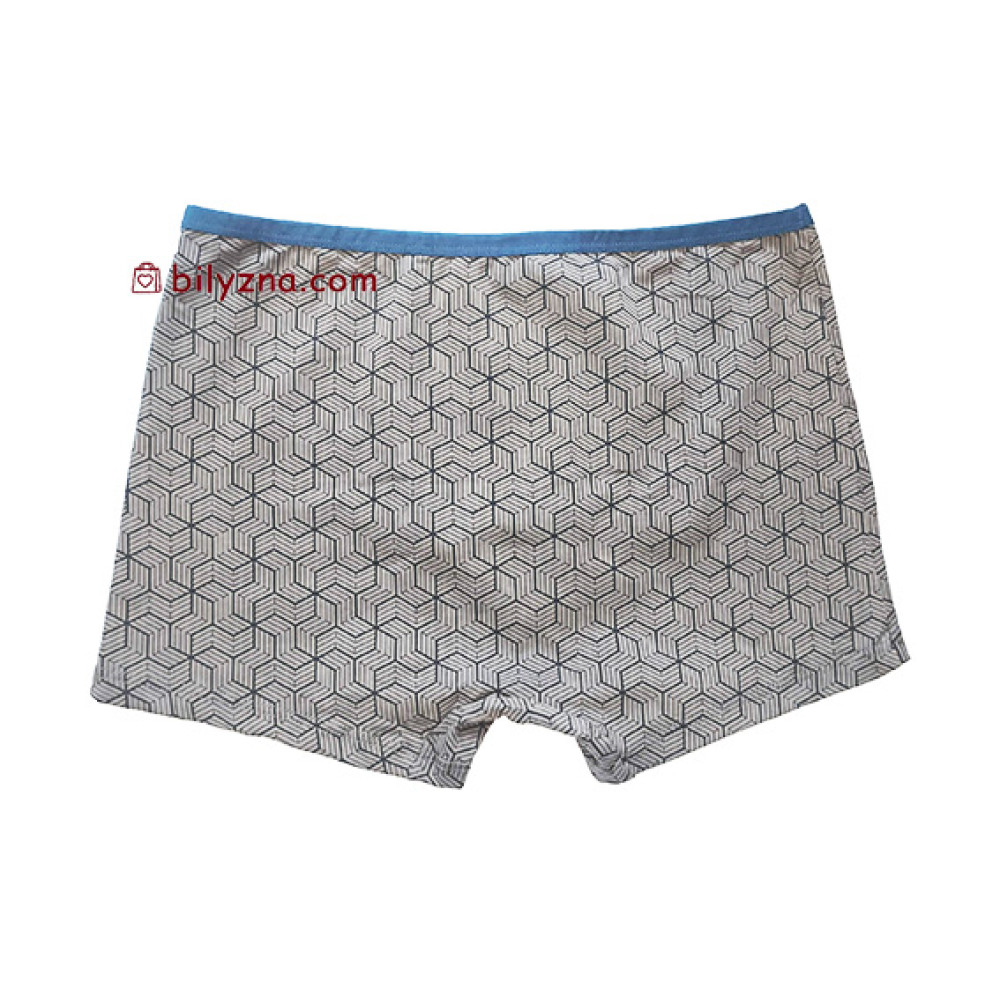 TASO 5781 Colour style труси шорти, бавовна