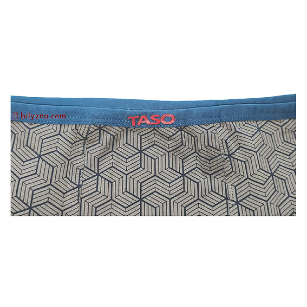 TASO 5781 Colour style труси шорти, бавовна