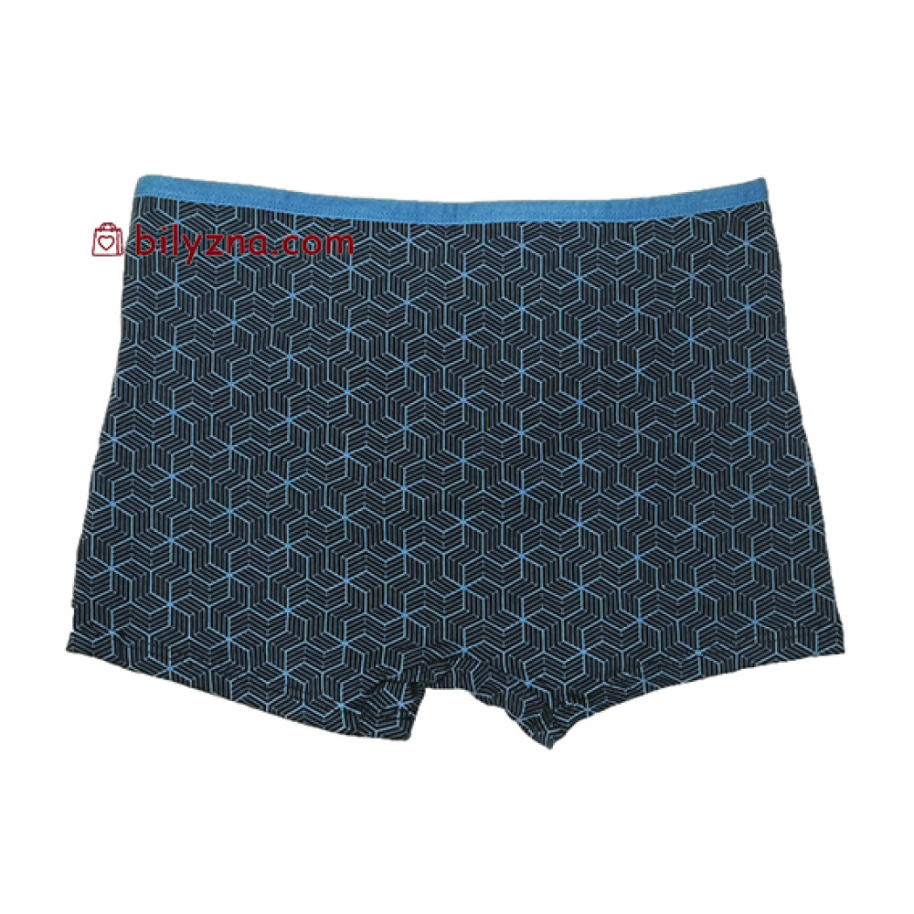 TASO 5781 Colour style труси шорти, бавовна