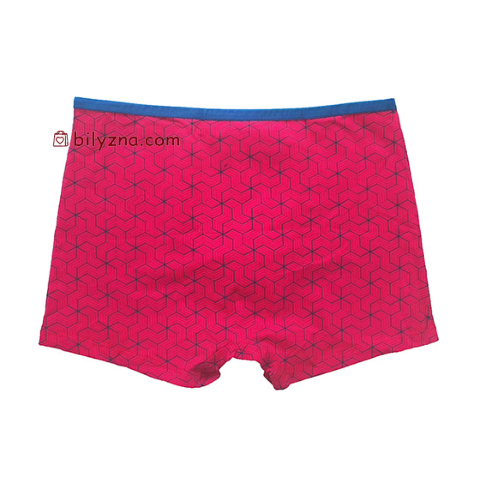 TASO 5781 Colour style труси шорти, бавовна