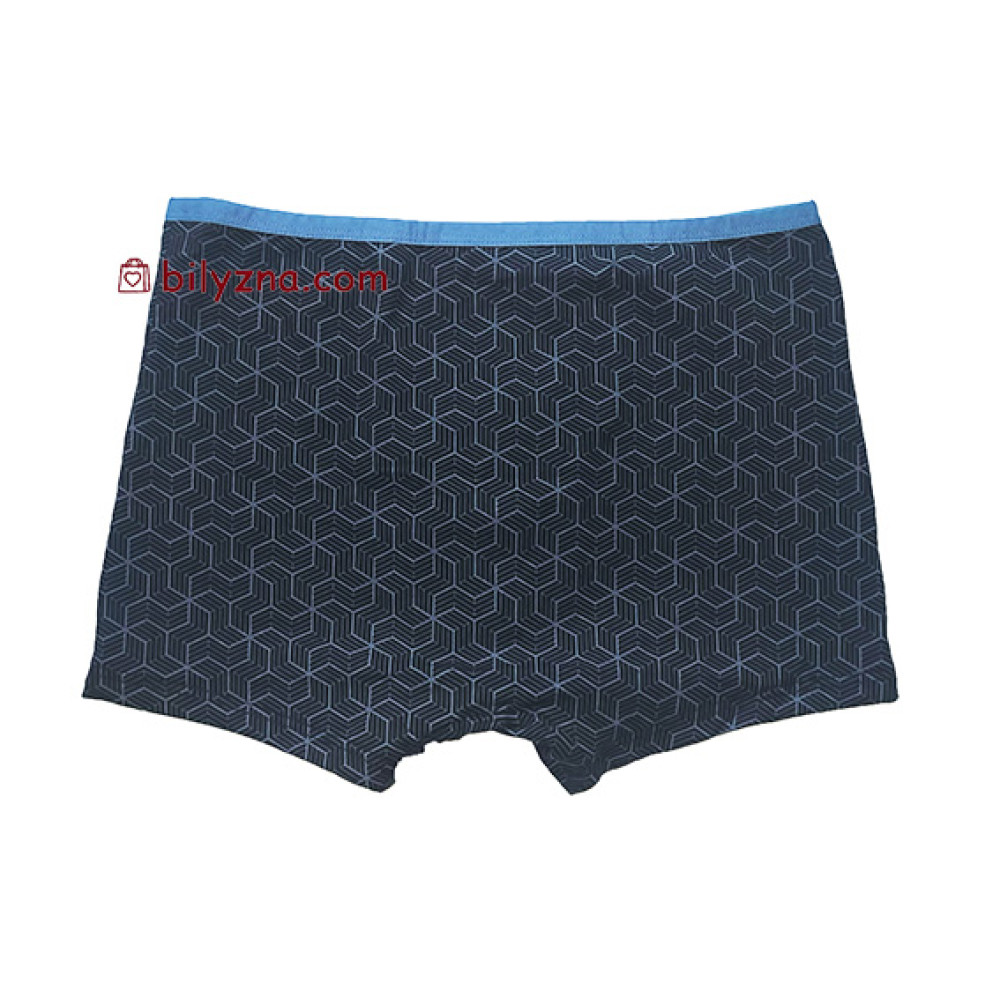 TASO 5781 Colour style труси шорти, бавовна