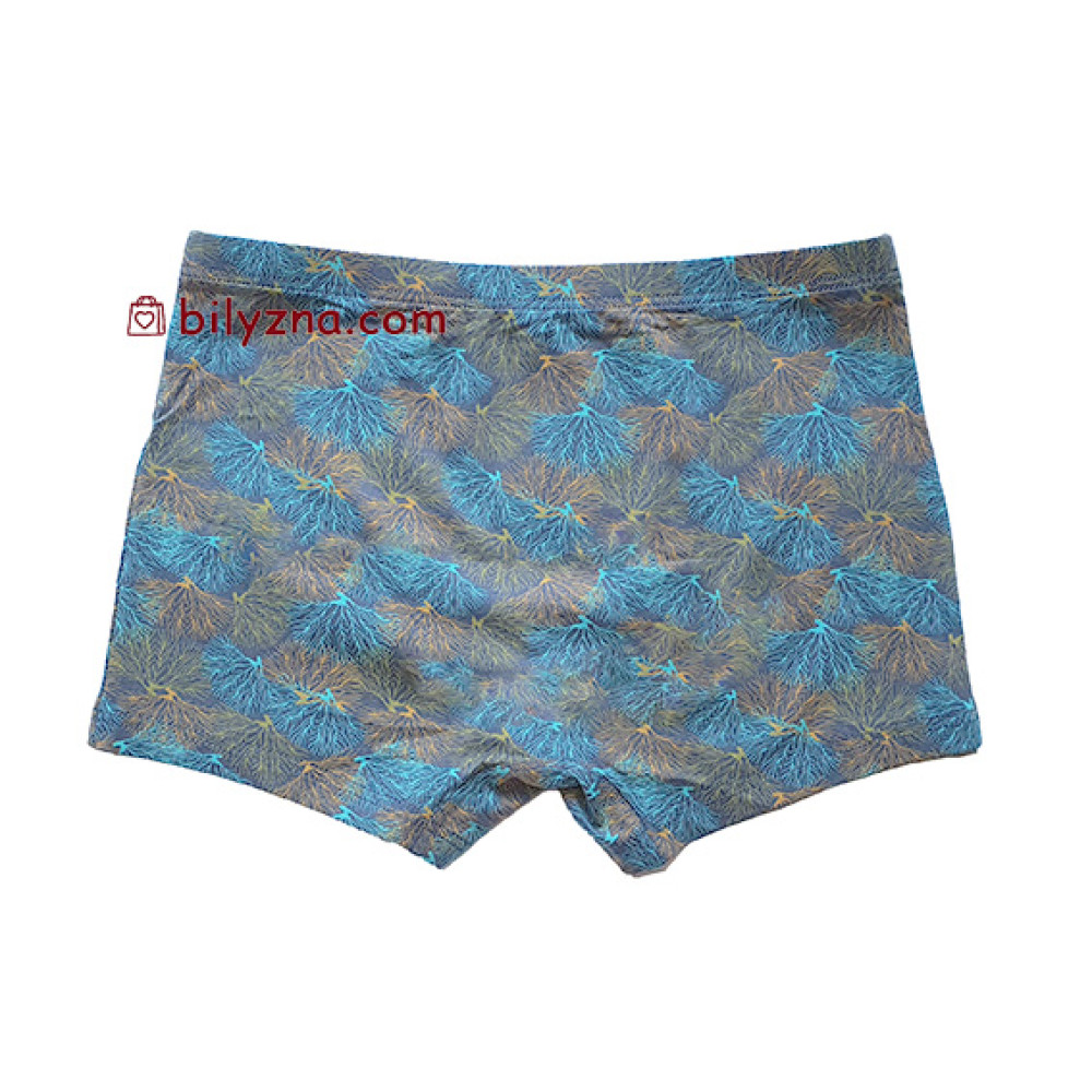 TASO 5783 Colour style бамбукові чоловічі шорти труси, з дрібним малюнком