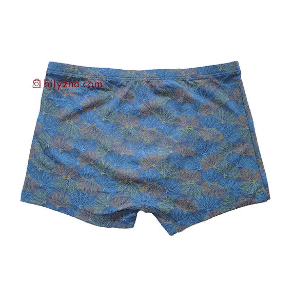 TASO 5783 Colour style бамбукові чоловічі шорти труси, з дрібним малюнком