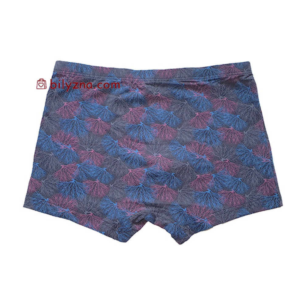 TASO 5783 Colour style бамбукові чоловічі шорти труси, з дрібним малюнком