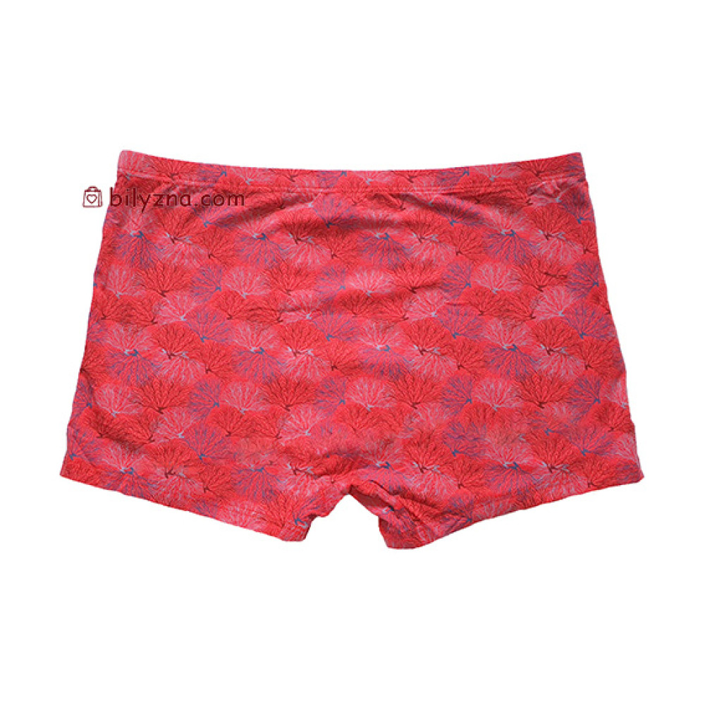 TASO 5783 Colour style бамбукові чоловічі шорти труси, з дрібним малюнком