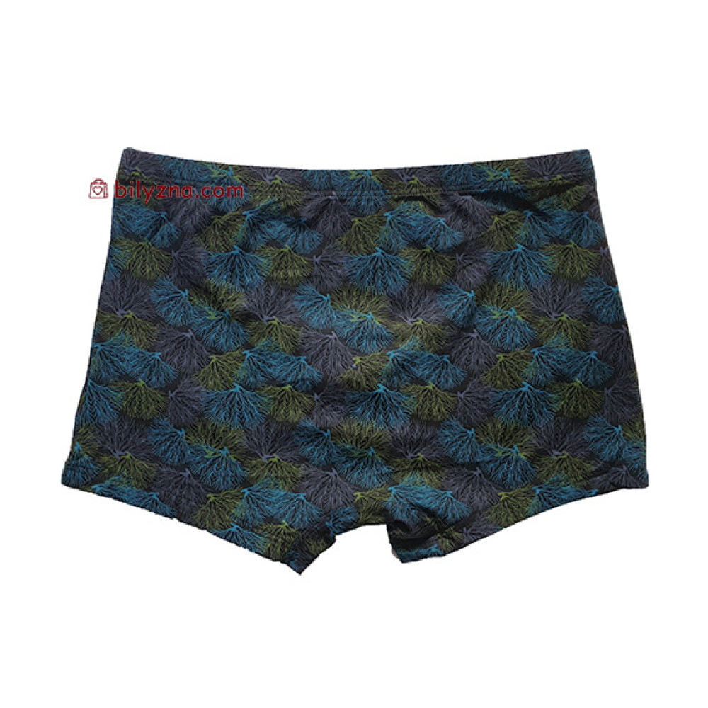 TASO 5783 Colour style бамбукові чоловічі шорти труси, з дрібним малюнком