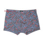 TASO 5784 Colour style чоловічі труси боксерки з текстовим написом