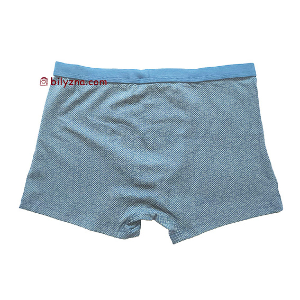 TASO 5789 Colour style боксерки з широкою спортивною резинкою