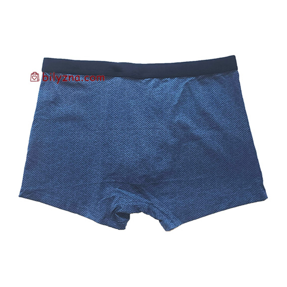 TASO 5789 Colour style боксерки з широкою спортивною резинкою