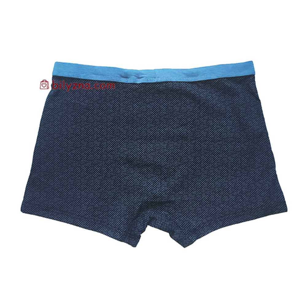 TASO 5789 Colour style боксерки з широкою спортивною резинкою