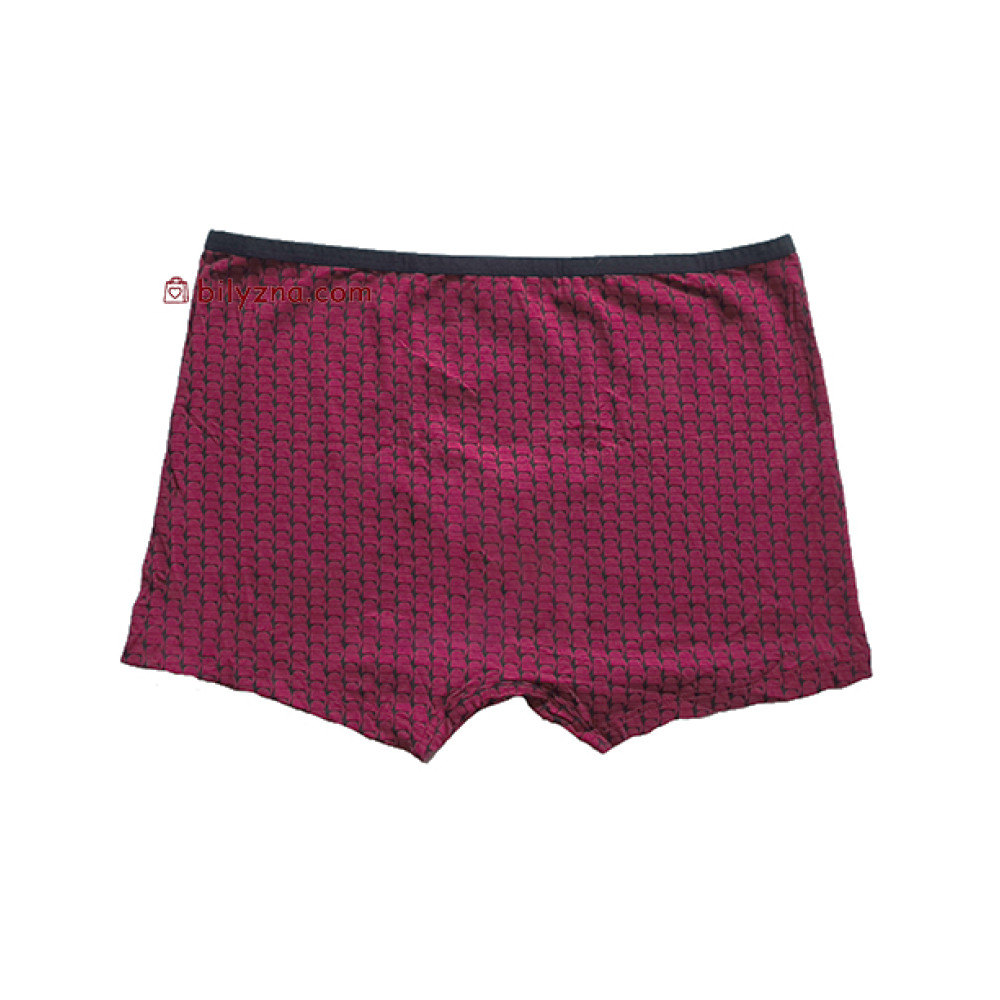 TASO 5795 Colour style чоловічі труси шорти в клітинку та з вузькою резинкою