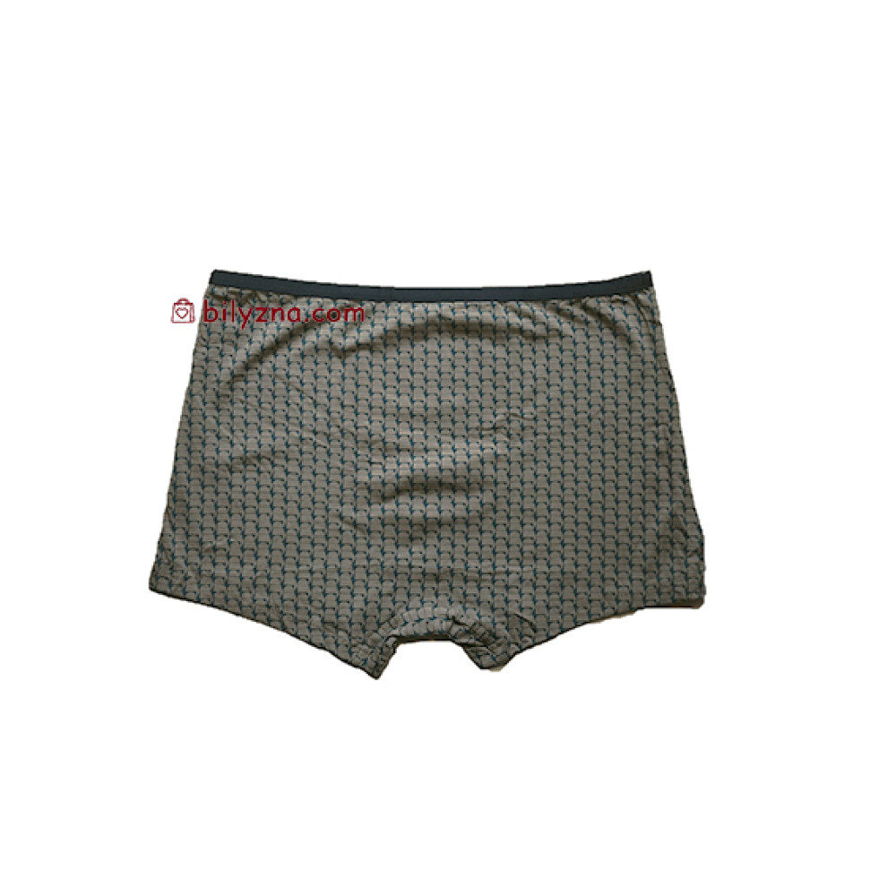 TASO 5795 Colour style чоловічі труси шорти в клітинку та з вузькою резинкою