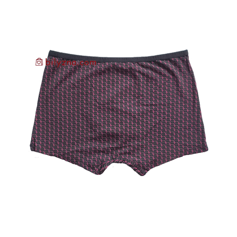 TASO 5795 Colour style чоловічі труси шорти в клітинку та з вузькою резинкою