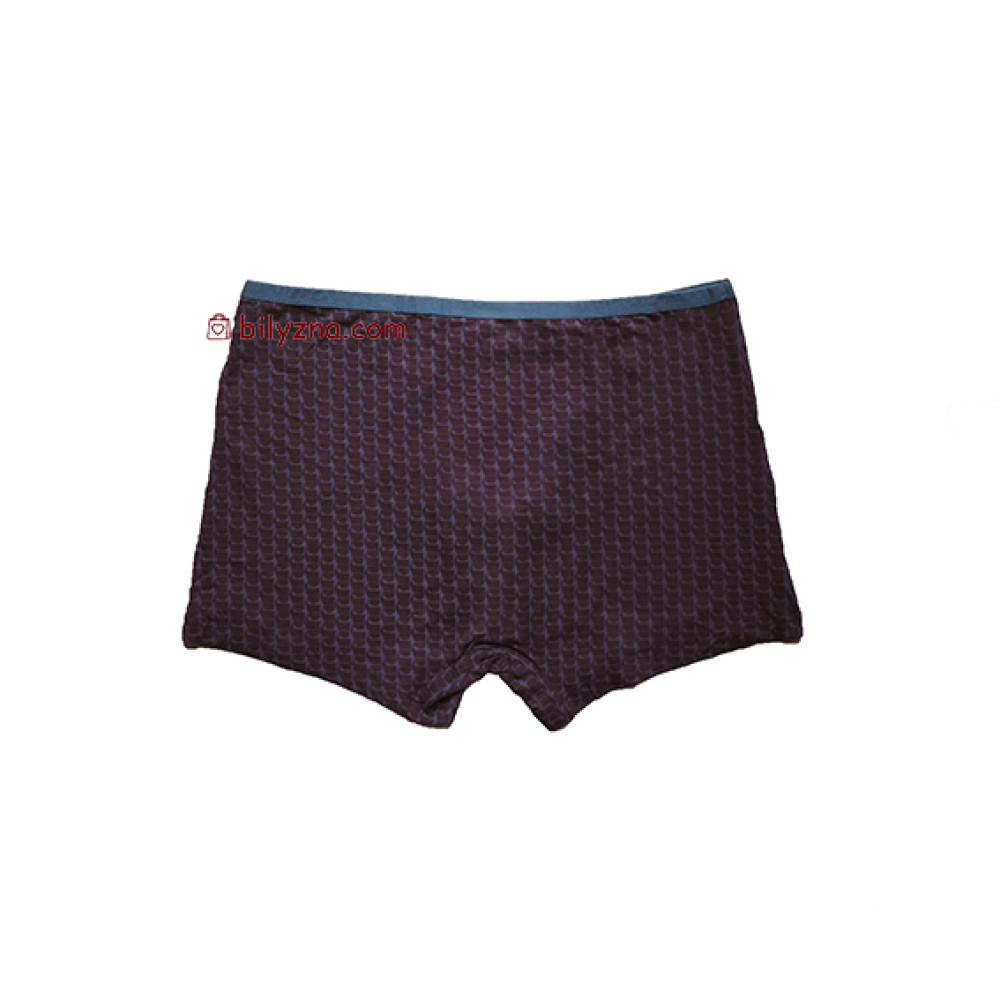 TASO 5795 Colour style чоловічі труси шорти в клітинку та з вузькою резинкою