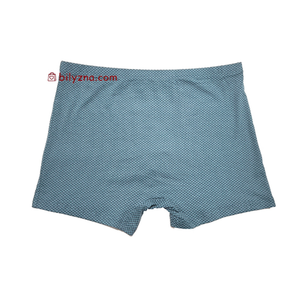 TASO 5799 Colour style бавовняно-бамбукові чоловічі труси шорти