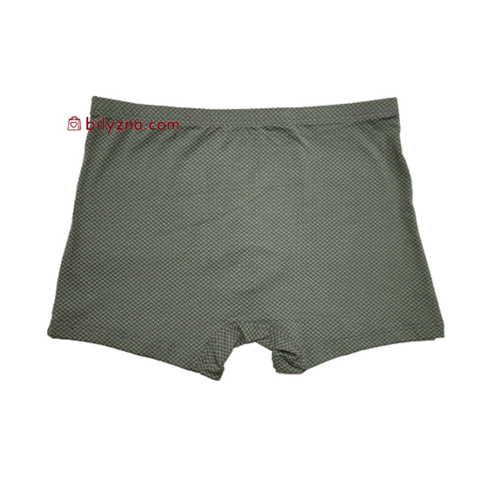 TASO 5799 Colour style бавовняно-бамбукові чоловічі труси шорти