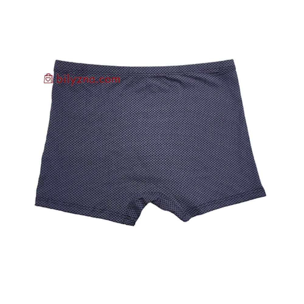 TASO 5799 Colour style бавовняно-бамбукові чоловічі труси шорти