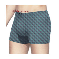 TASO 5802 Colour style класичні чоловічі труси шорти, тканина модал, малюнок клітинка