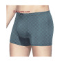 TASO 5802 Colour style класичні чоловічі труси шорти, тканина модал, малюнок клітинка