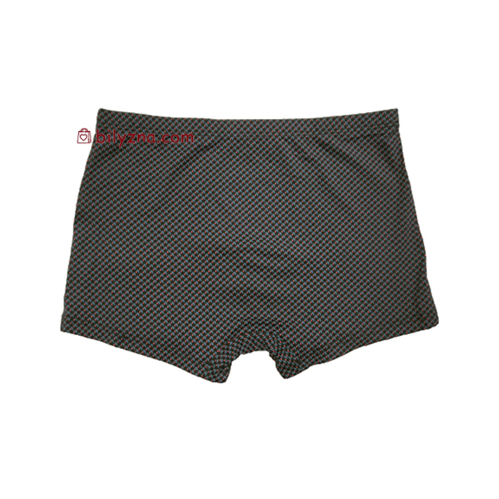 TASO 5802 Colour style класичні чоловічі труси шорти, тканина модал, малюнок клітинка