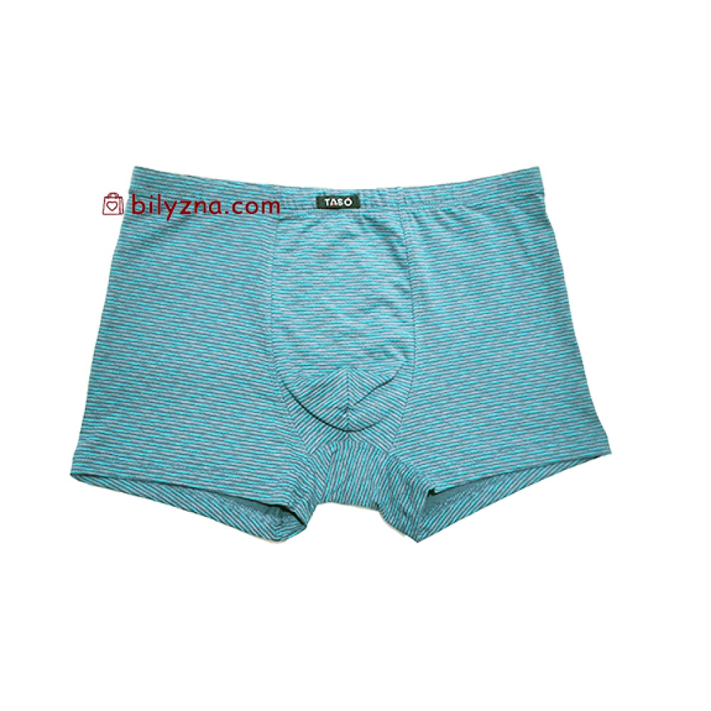 TASO 5808 Colour style бамбуково-бавовняні чоловічі труси шорти на класичній резинці