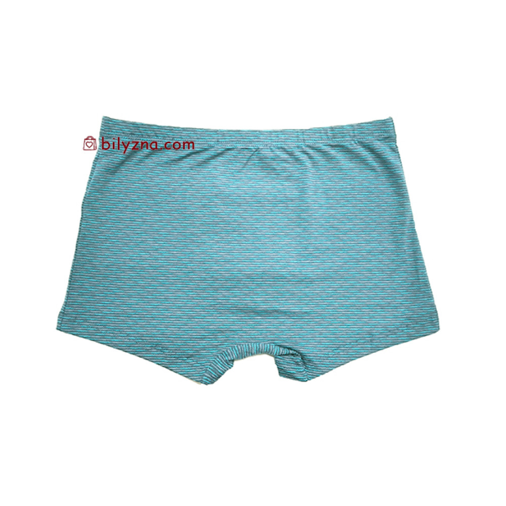 TASO 5808 Colour style бамбуково-бавовняні чоловічі труси шорти на класичній резинці