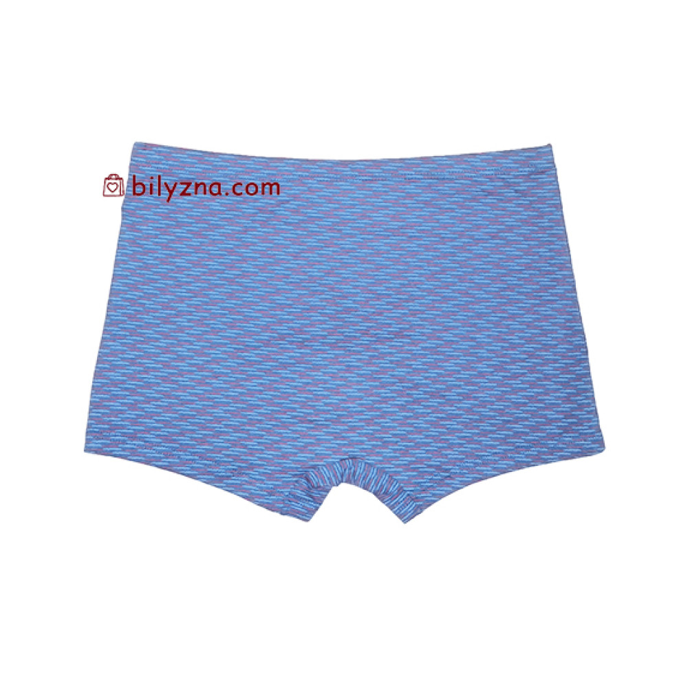 TASO 5808 Colour style бамбуково-бавовняні чоловічі труси шорти на класичній резинці