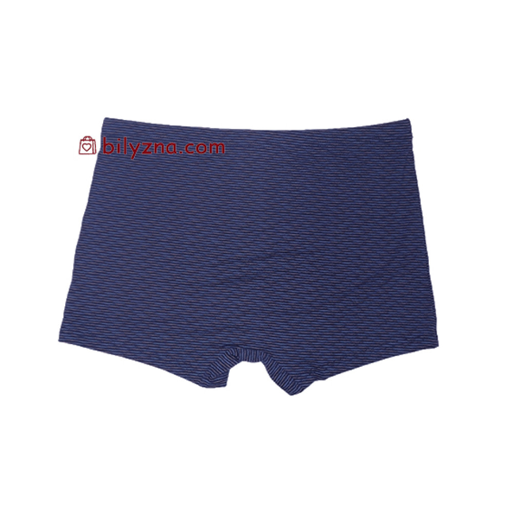 TASO 5808 Colour style бамбуково-бавовняні чоловічі труси шорти на класичній резинці