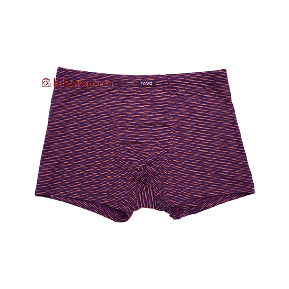 TASO 5808 Colour style бамбуково-бавовняні чоловічі труси шорти на класичній резинці