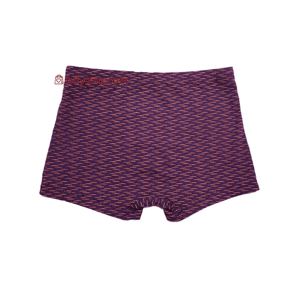 TASO 5808 Colour style бамбуково-бавовняні чоловічі труси шорти на класичній резинці