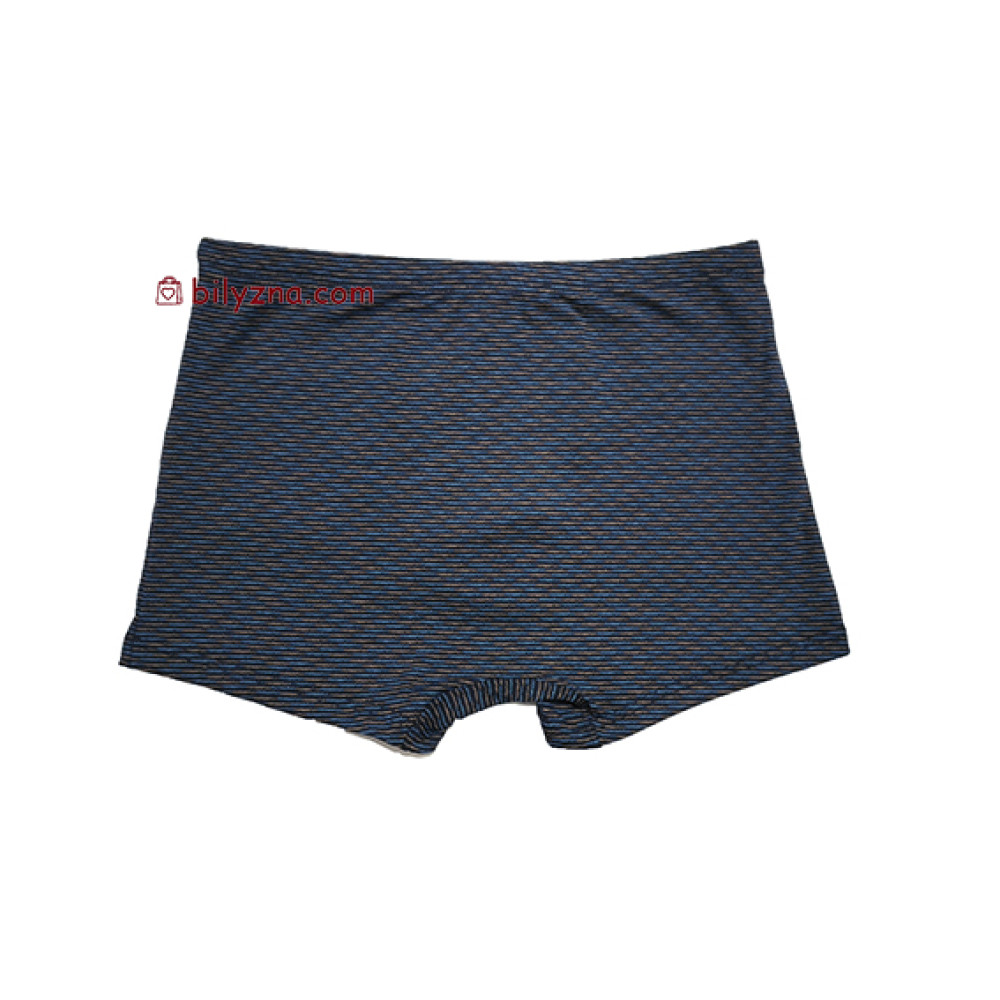 TASO 5808 Colour style бамбуково-бавовняні чоловічі труси шорти на класичній резинці