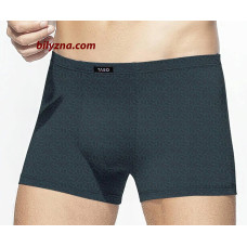 TASO 5811 Colour style чоловічі труси бамбук з бавовною