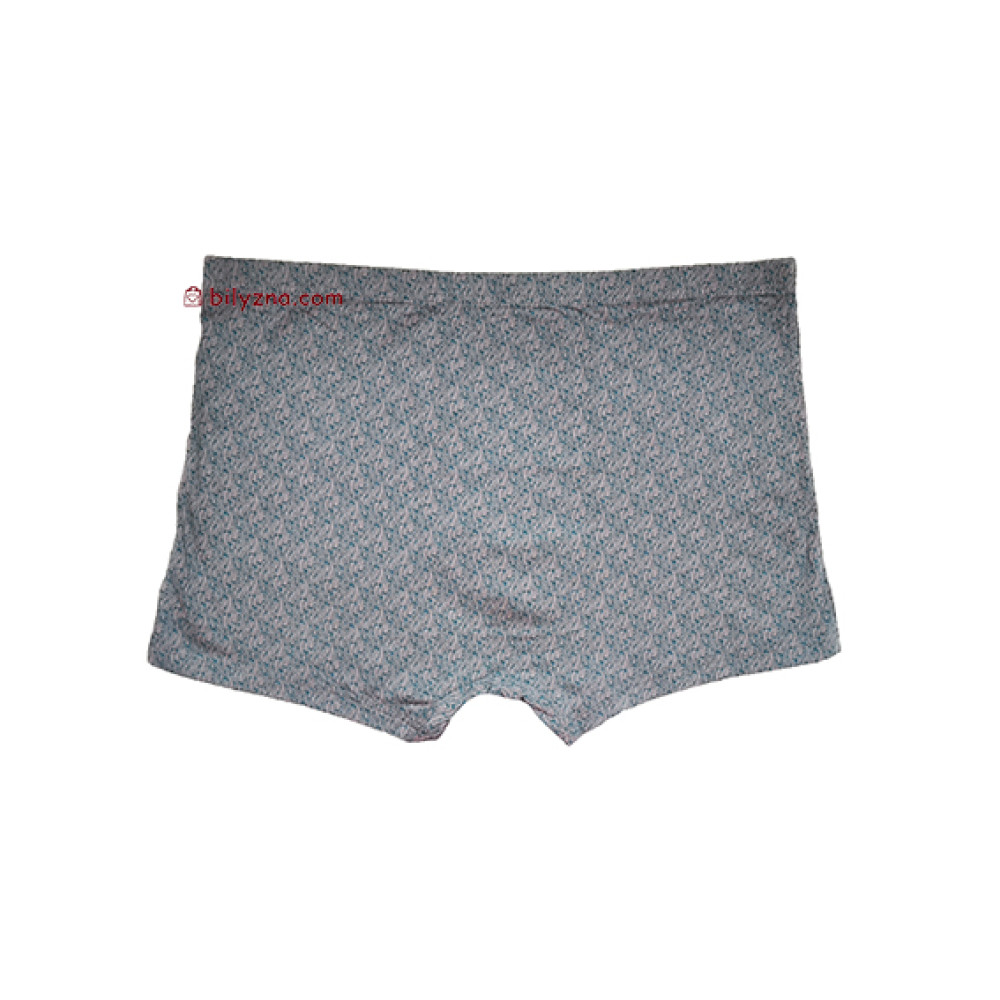 TASO 5812 Colour style чоловічі труси шорти на класичній резинці з малюнком
