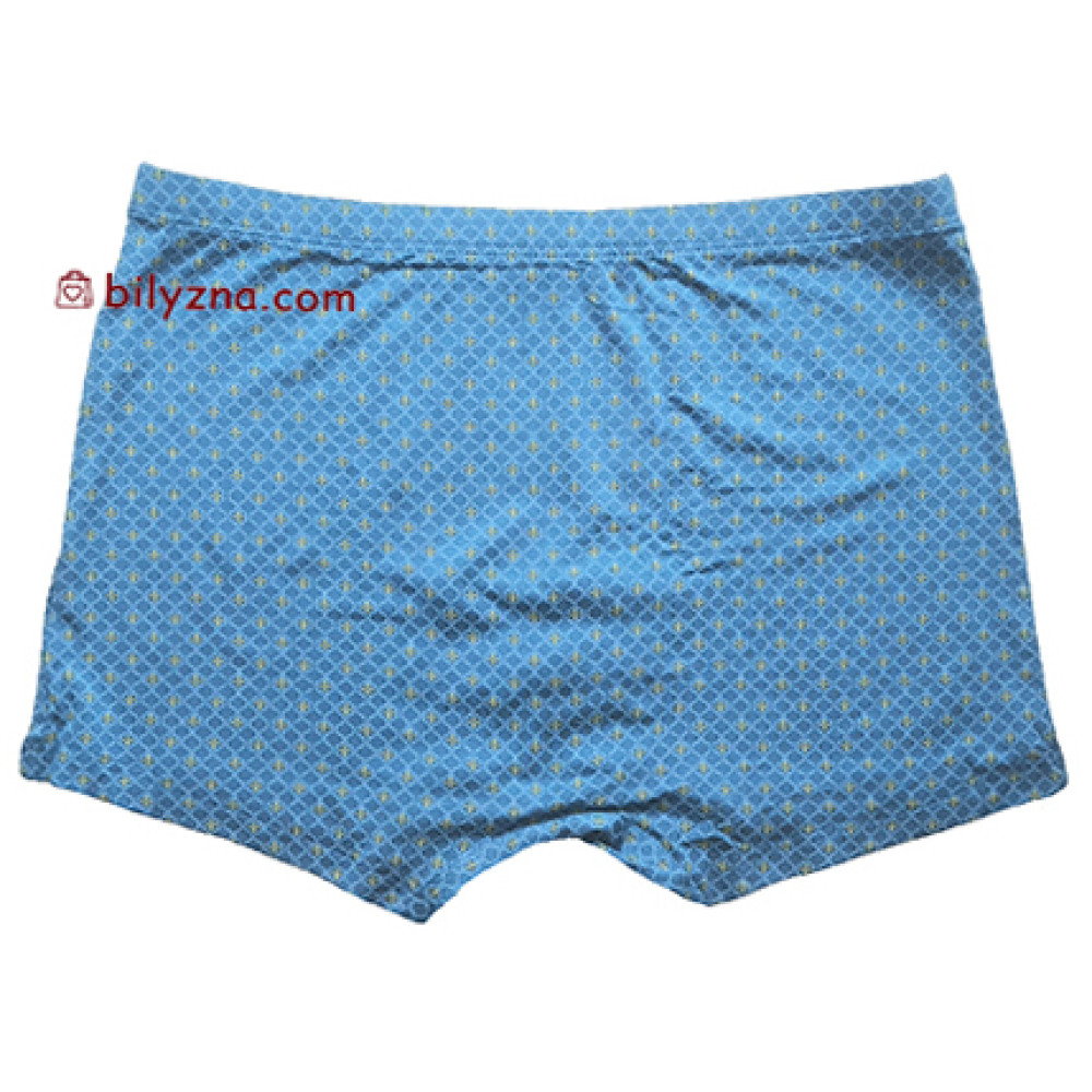 Colour style TASO 5816 модал класичні чоловіч труси шорти з дрібним малюнком в клітинку