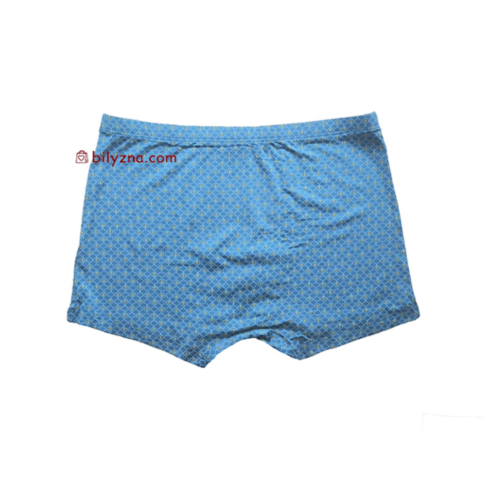 Colour style TASO 5816 класичні чоловіч труси шорти з дрібним малюнком в клітинку