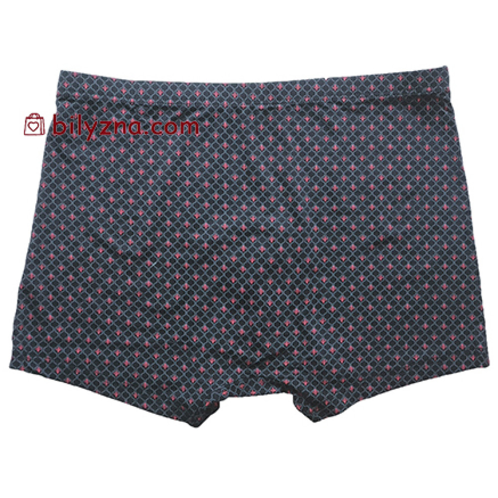 Colour style TASO 5816 модал класичні чоловіч труси шорти з дрібним малюнком в клітинку