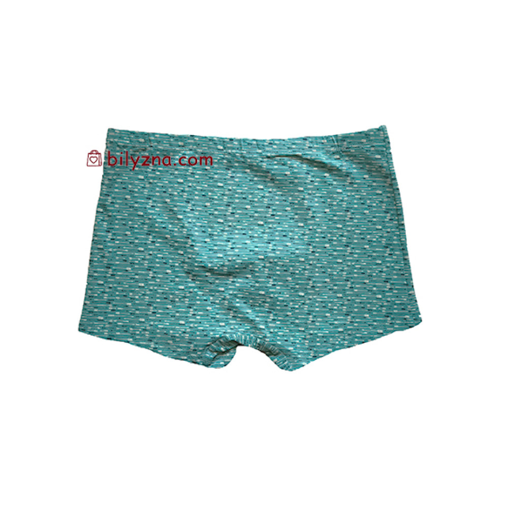 TASO 5835 Colour style бавовняні чоловічі труси шорти