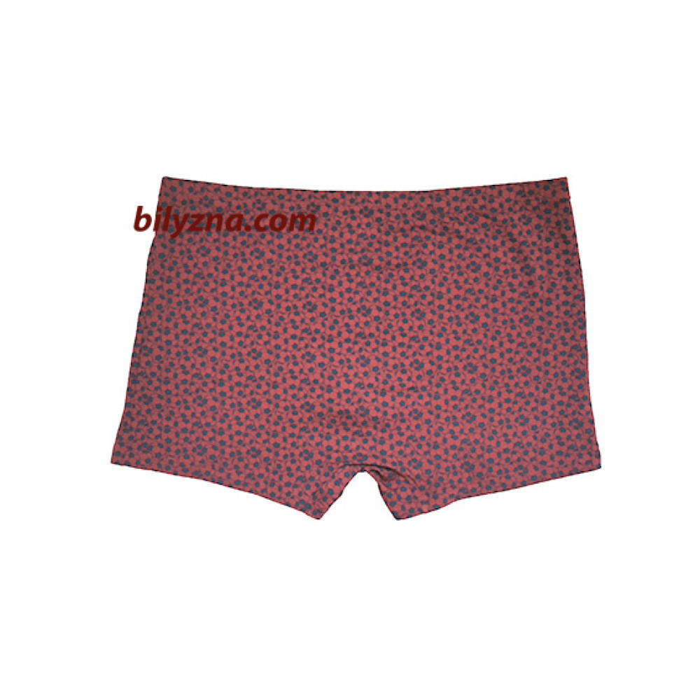 TASO 5841 Colour style прикольні чоловічі труси шорти з малюнком футбольного м'яча