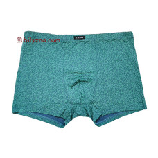 TASO 5847 Colour style чоловічі труси шорти з класичною резинкою