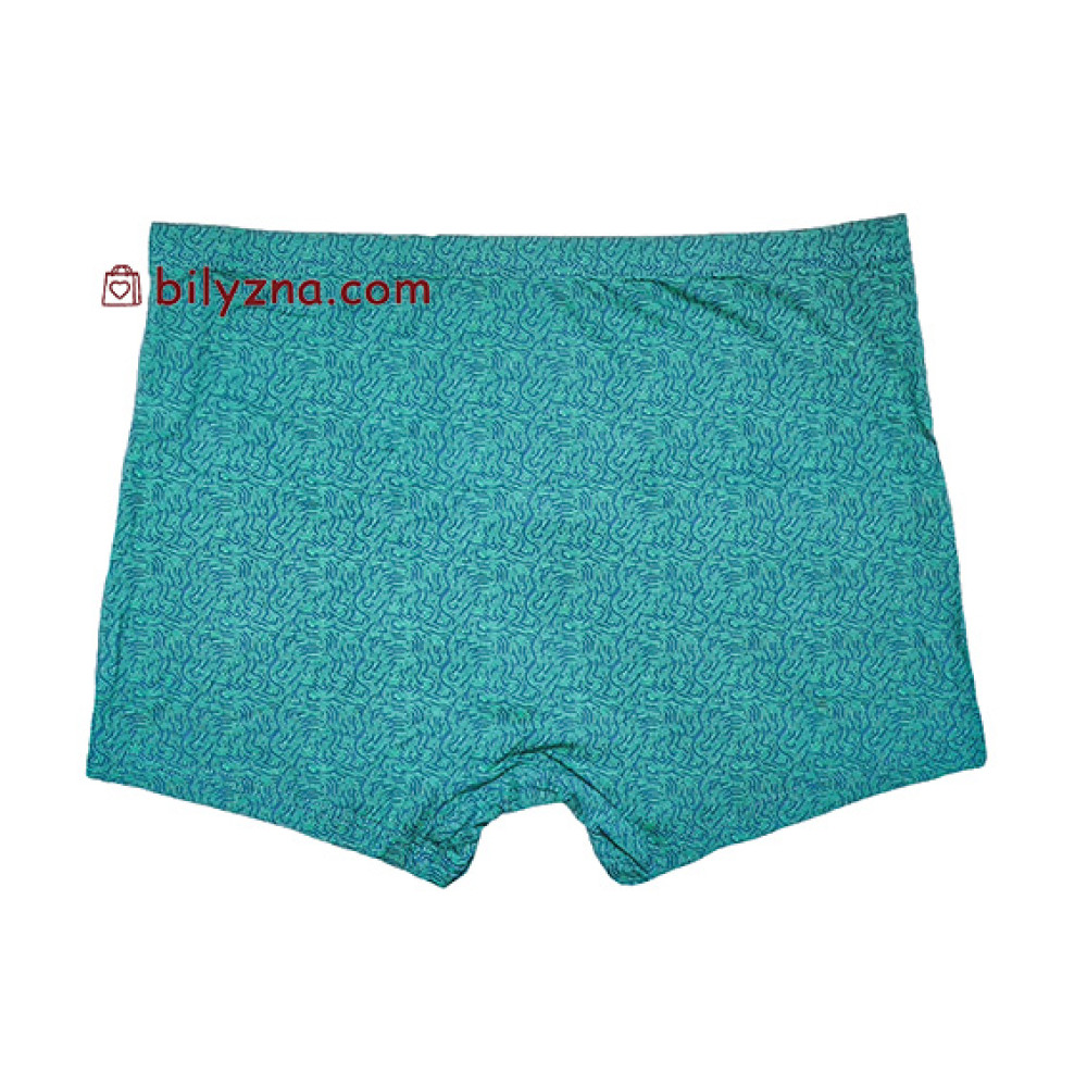 TASO 5847 Colour style чоловічі труси шорти з класичною резинкою