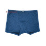TASO 5847 Colour style чоловічі труси шорти з класичною резинкою