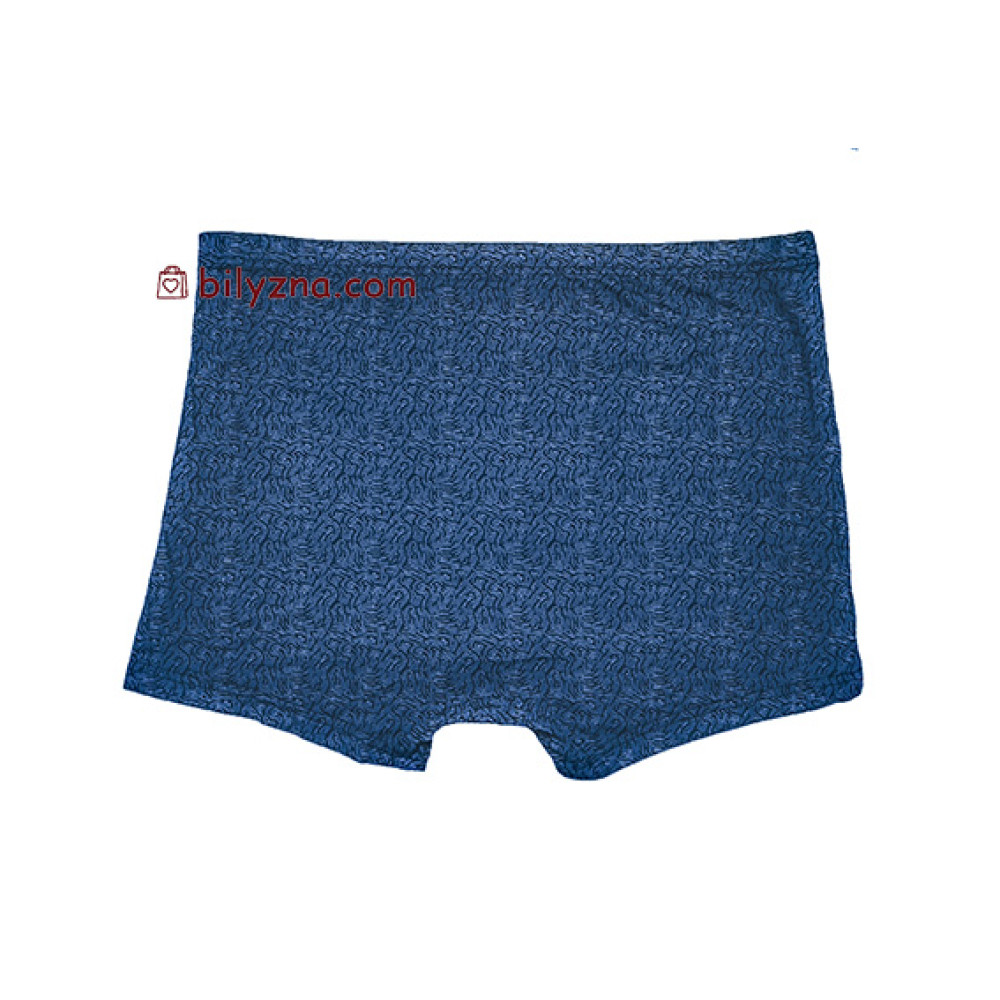 TASO 5847 Colour style чоловічі труси шорти з класичною резинкою